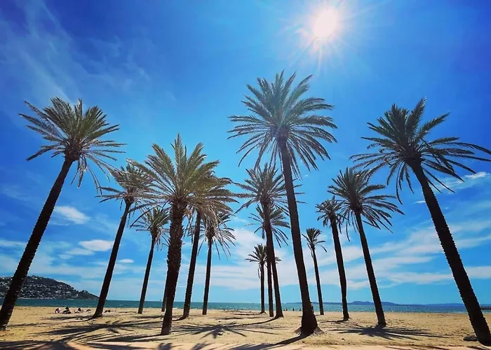 公寓 Acapulco Bjs B - Immo Barneda 罗萨斯